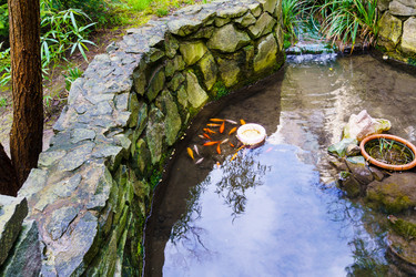 Similar image 21793375