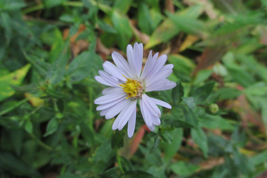 Similar image 21787258