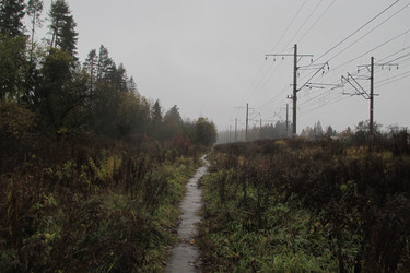 Similar image 21787271