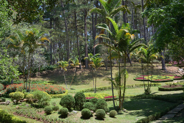 Similar image 21787143