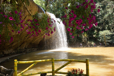 Similar image 21787146