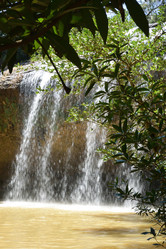 Similar image 21787151