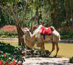 Similar image 21787152