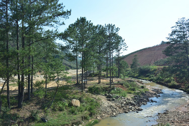 Similar image 21787153