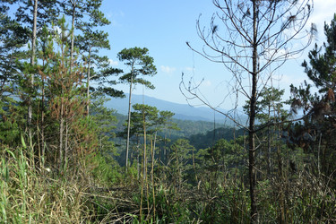 Similar image 21787156