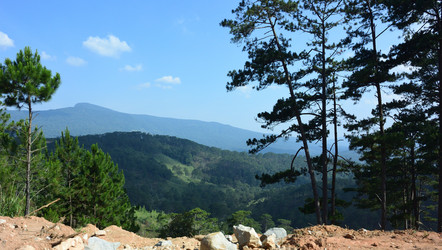 Similar image 21787157