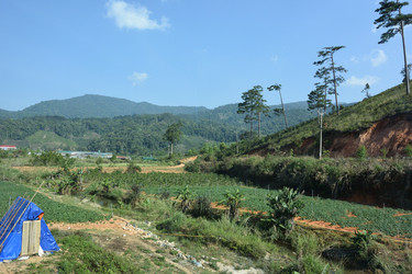 Similar image 21787161