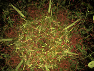 Similar image 21791945