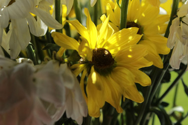 Similar image 21787340