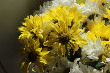 Similar image 21787342