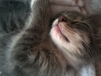 Similar image 21787346