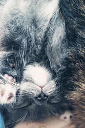 Similar image 21787349