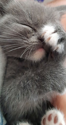 Similar image 21787526