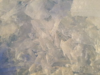 Similar image 21787532