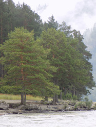 Similar image 21787538