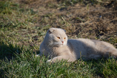 Similar image 21787539