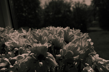 Similar image 21787806