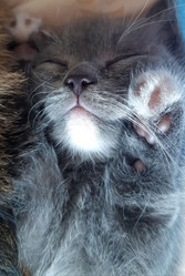 Similar image 21787816