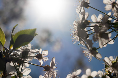 Similar image 21787209