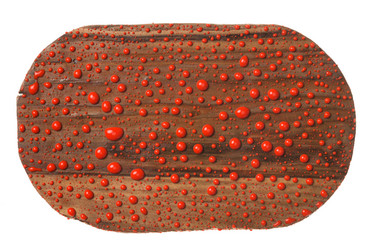 Similar image 21787215