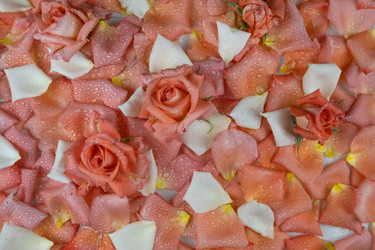 Similar image 21787227