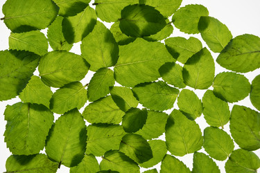 Similar image 21787229