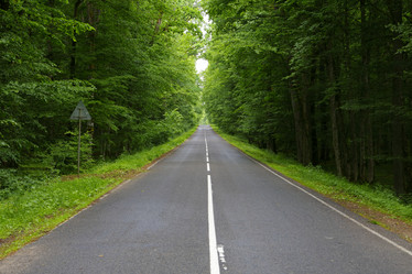 Similar image 21790120