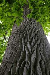 Similar image 21790122