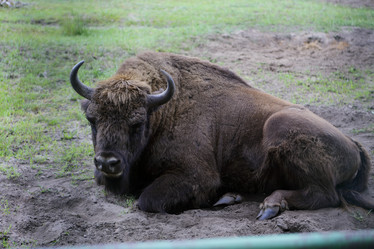 Similar image 21790123