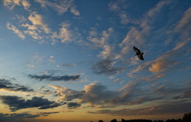 Similar image 21787261