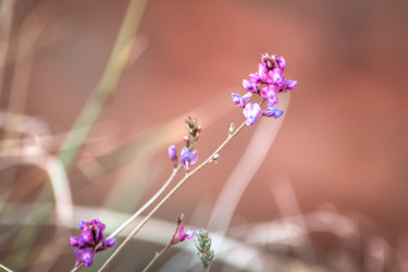 Similar image 21787388