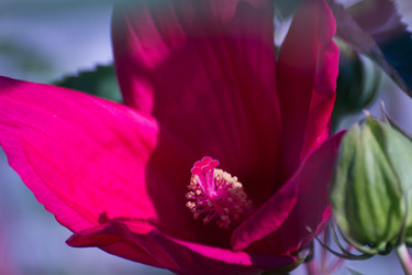 Similar image 21787394