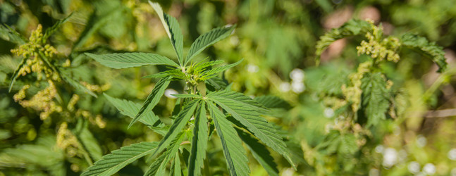 Similar image 21787397