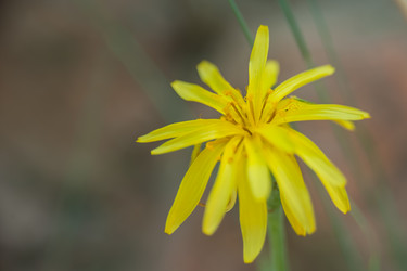 Similar image 21787400