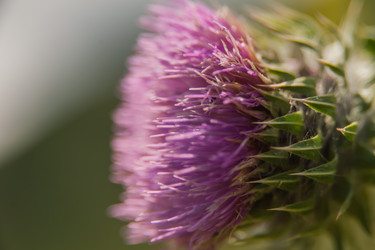 Similar image 21787401