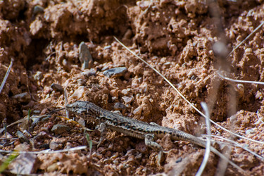 Similar image 21787407