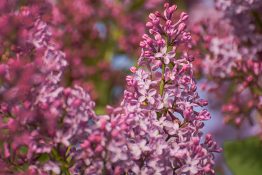 Similar image 21787408