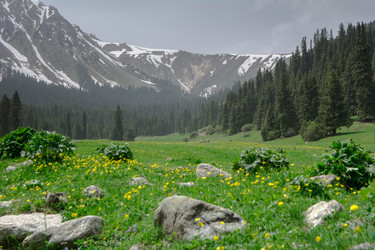 Similar image 21787411