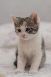 Similar image 21787412