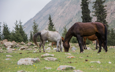 Similar image 21787418