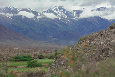 Similar image 21787426