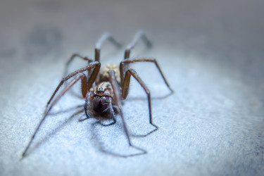 Similar image 21787427