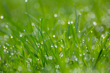 Similar image 21787429