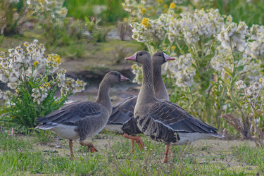 Similar image 21787433