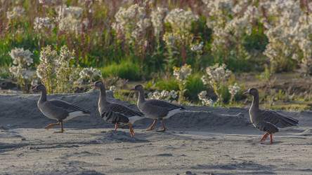 Similar image 21787435