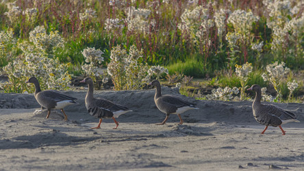 Similar image 21787436