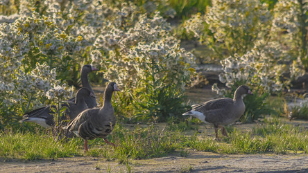 Similar image 21787440