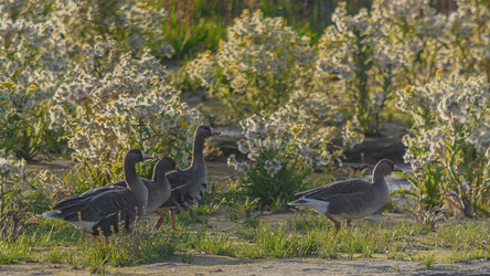 Similar image 21787441