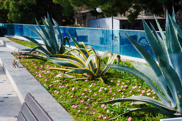 Similar image 21803100