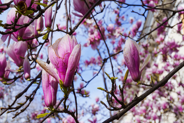 Similar image 21803101